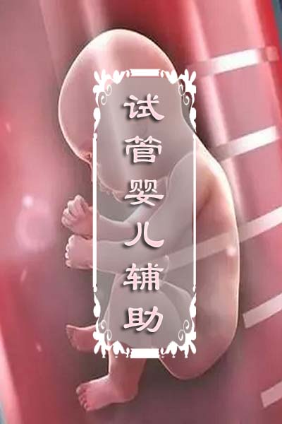 
试管婴儿辅助